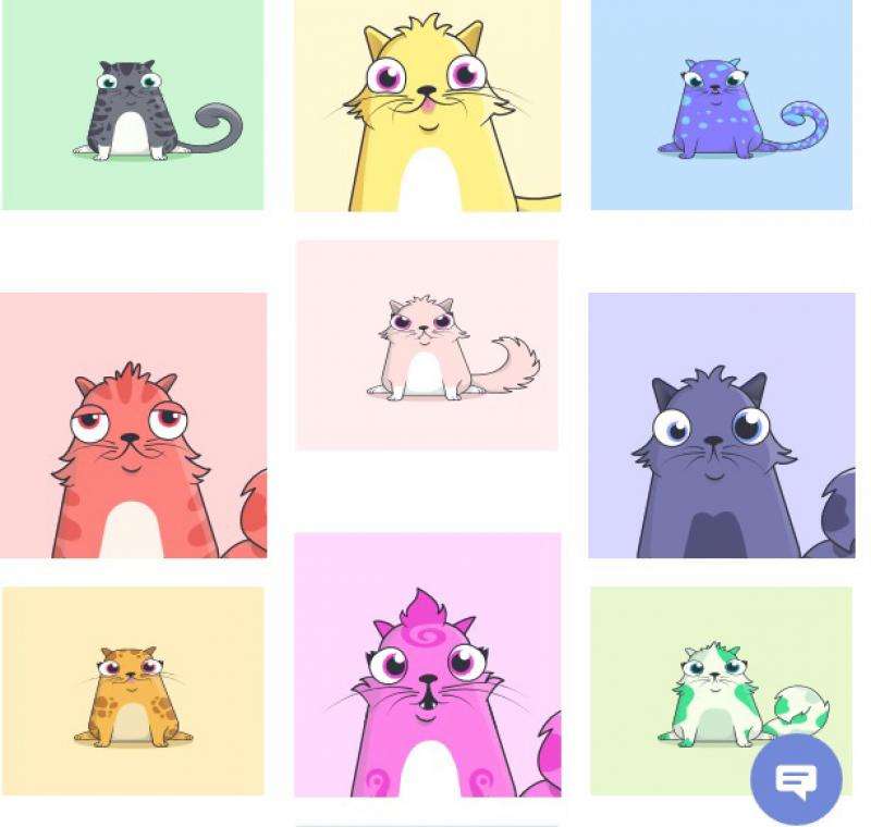 以太猫